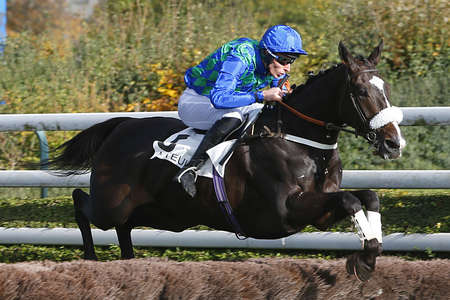 Actualités Hippiques